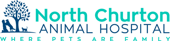 North Churton Animal Hospital