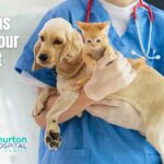 Questions to Ask Your Pet's Vet