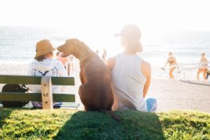 traveling with pet