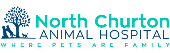North Churton Animal Hospital