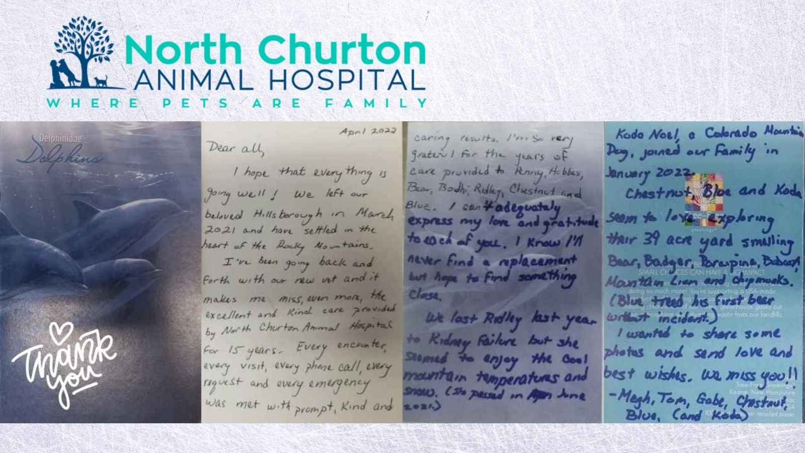 North Churton Animal Hospital Reviews | Dr. James Miller