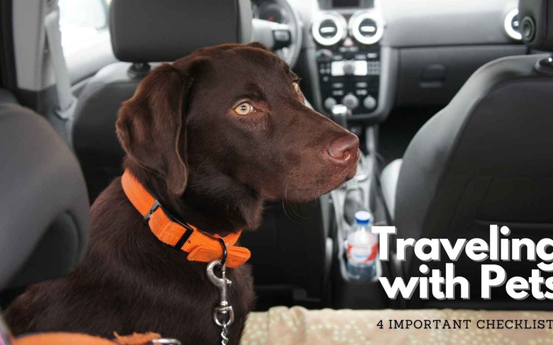 Traveling with Pets 4 Important Checklists