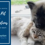 Common Pet Care Misconceptions You Need to Know About from North Churton Animal Hospital
