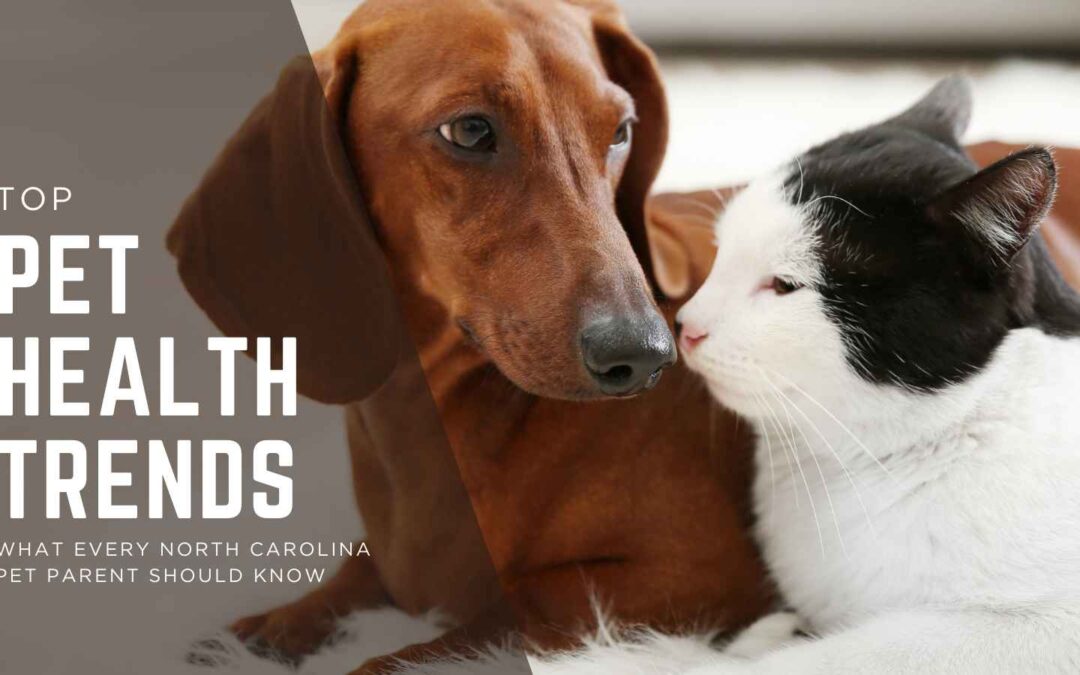 Top Pet Health Trends | What Every North Carolina Pet Parent Should Know
