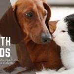 Top Pet Health Trends